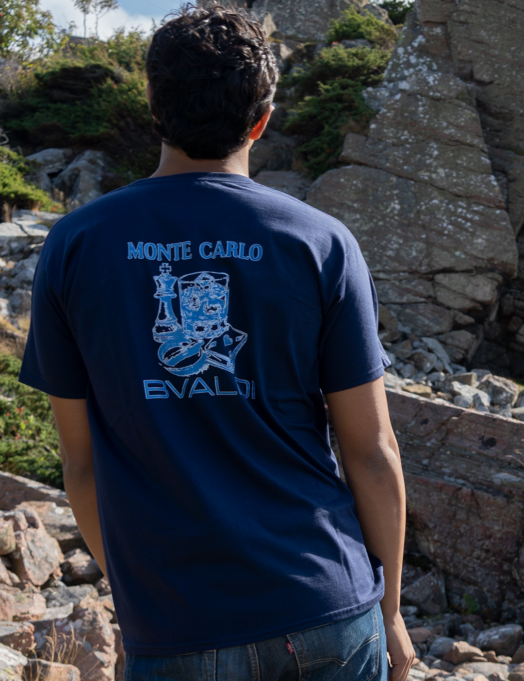 bvmontecarlo_aa144848-11be-45e9-afd9-47c7bd0a62df.png